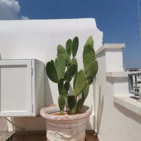 Dimora Stella Ferienhaus *